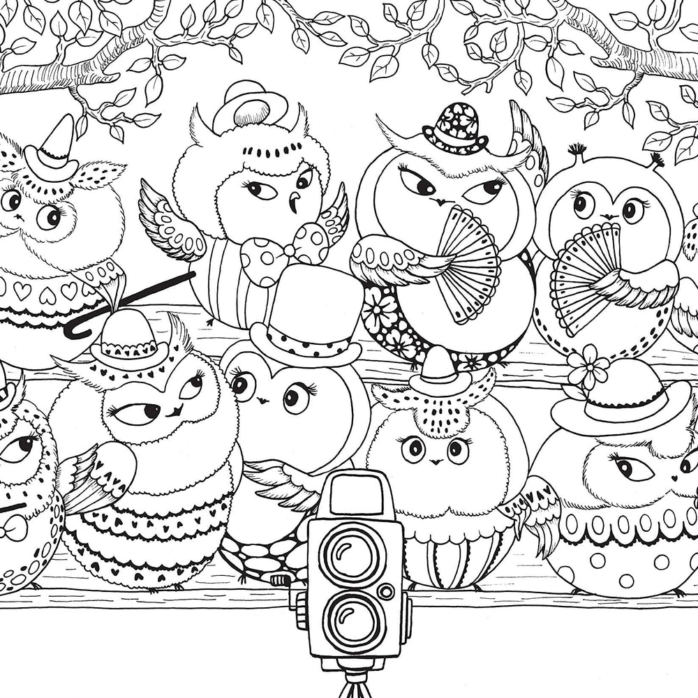 
                      
                        A Million Owls Coloring Book
                      
                    